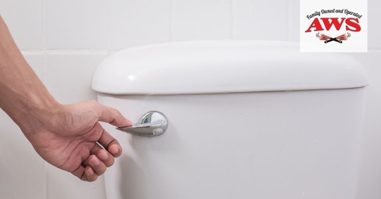 person flushing toilet